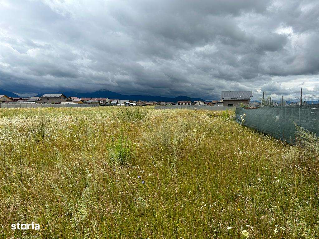 Teren de casa intravilan, zona Tarlungeni - Izvor! - Imagine principală: 5/13