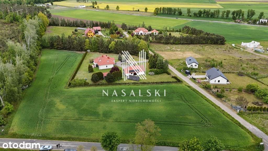 Działki na sprzedaż Drzewianowo Mrocza 1399m2 - Pełny obrazek: 5/7