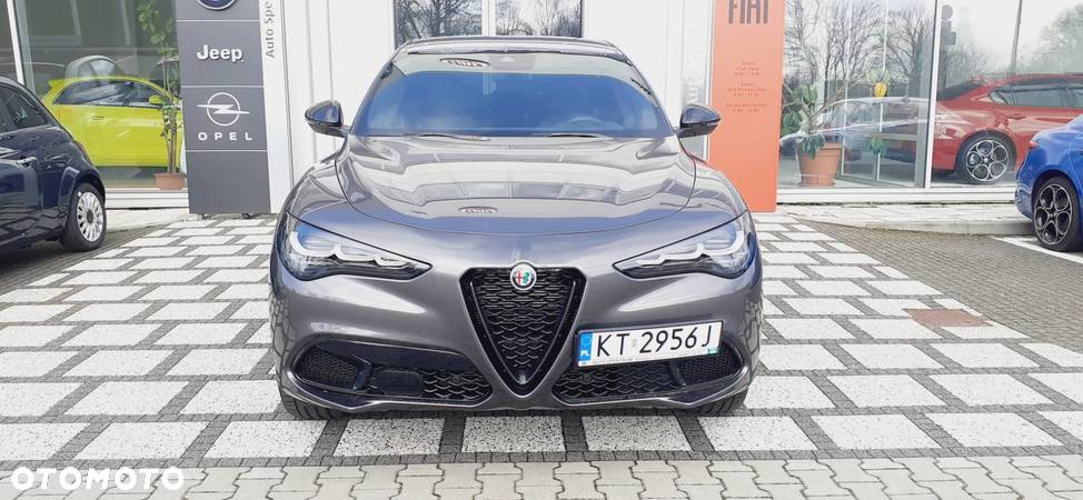 Alfa Romeo Stelvio 2.0 Turbo Veloce Q4 - 8