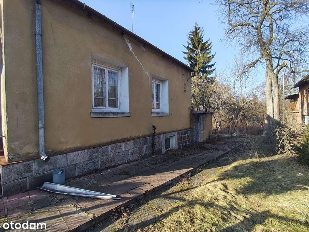 Dom - duża działka - budynek gospodarczy-2