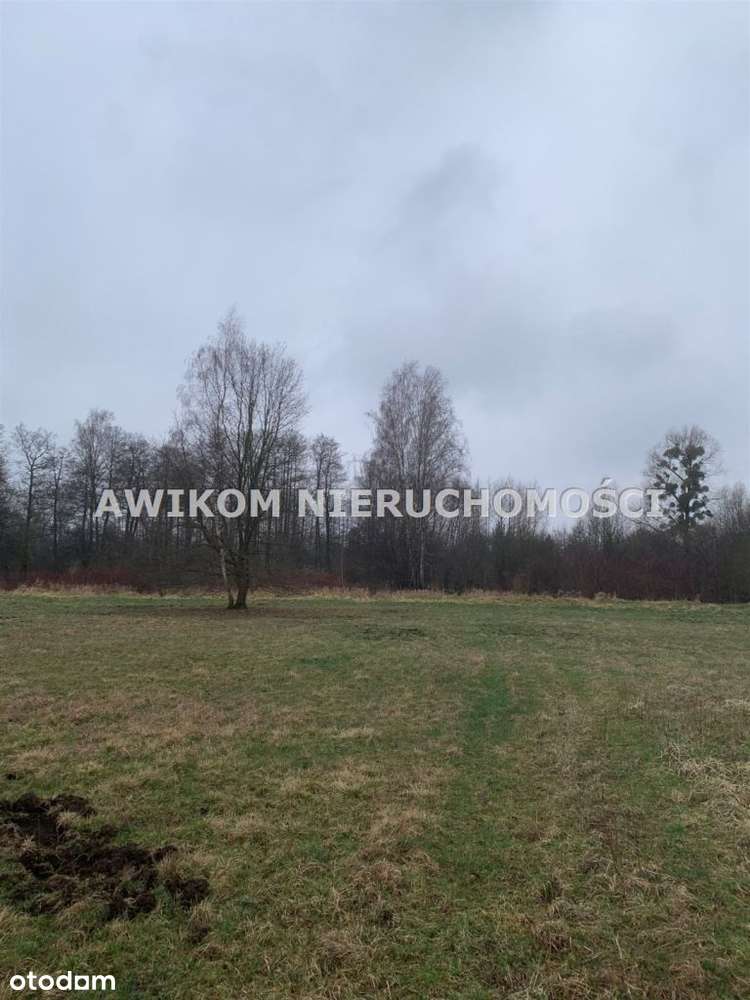 Jaktorów Budy Zosine - Pełny obrazek: 2/2