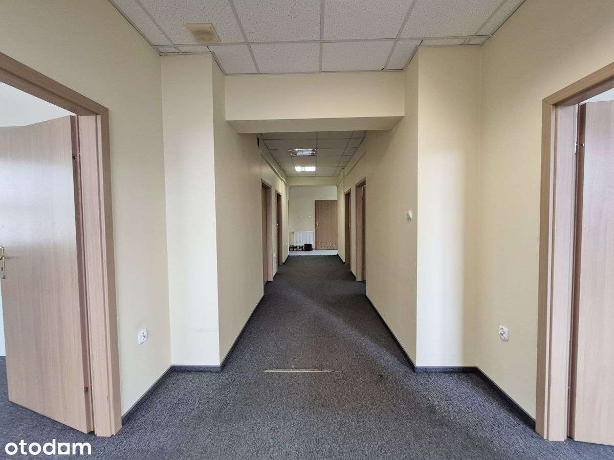 Lokal biurowy - Pełny obrazek: 2/10