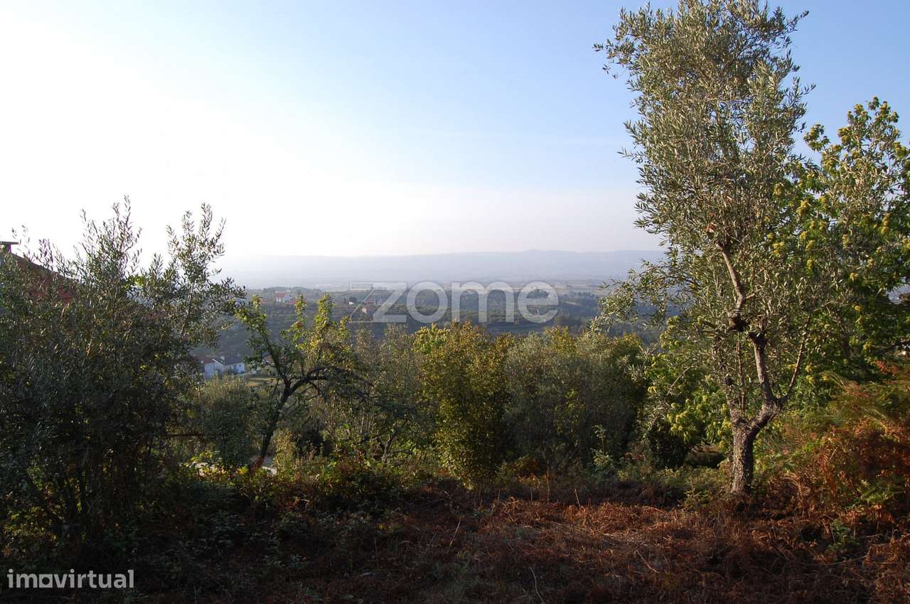 Terreno em Cabritos - Grande imagem: 4/22