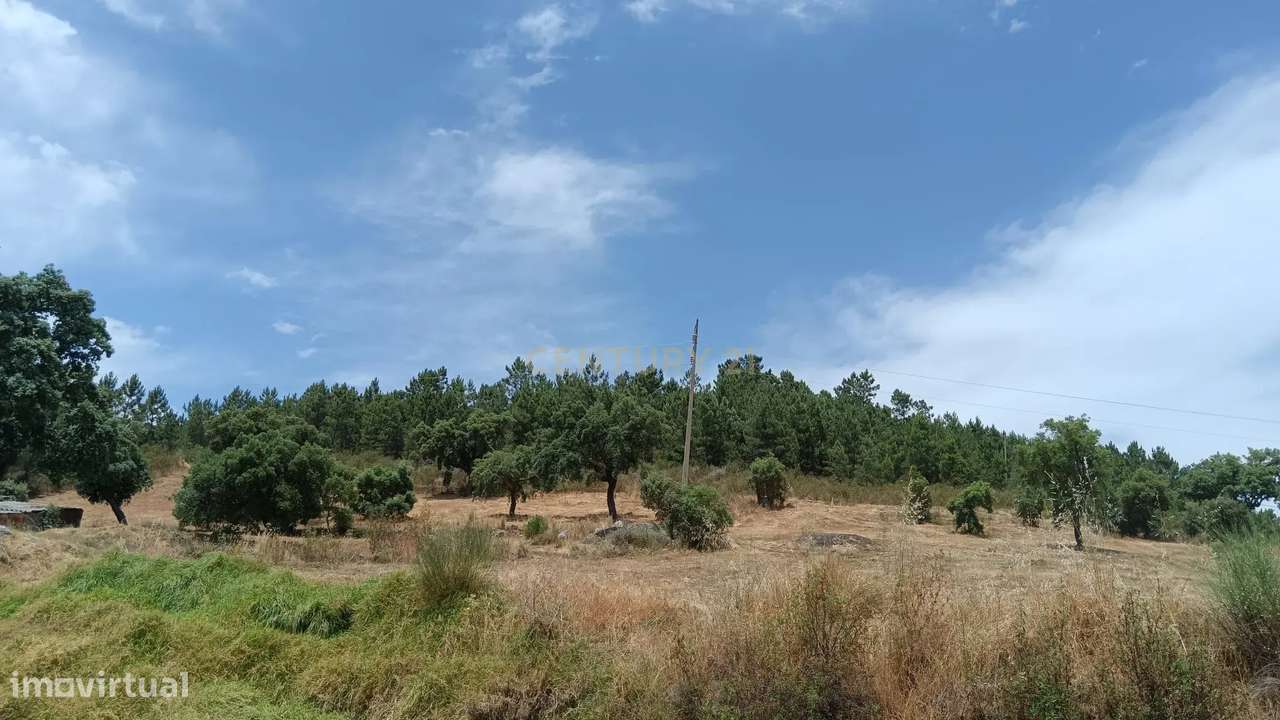 Terreno rústico 2ha, Palvarinho, Castelo Branco - Grande imagem: 3/13