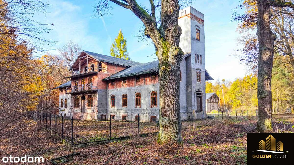 Historyczny pałac na sprzedaż!