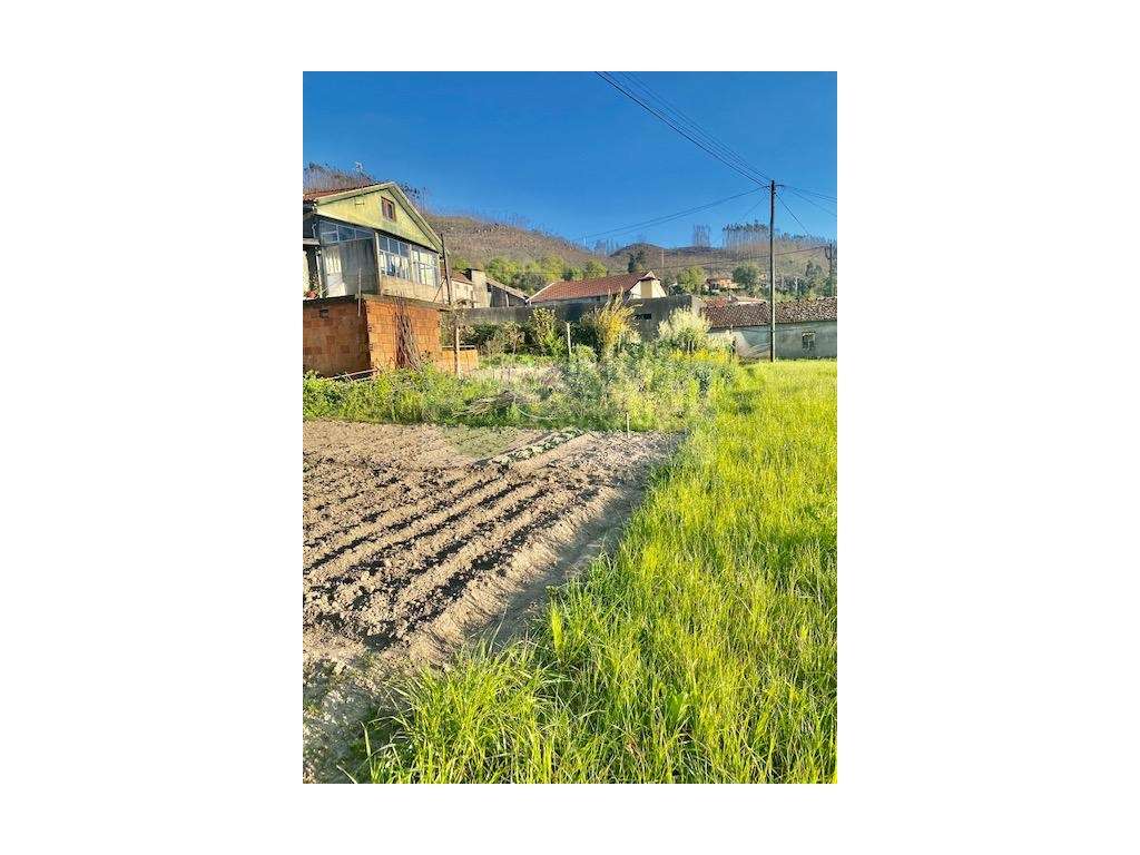 TERRENO COM VIABILIDADE DE CONSTRUÇÃO | CEDRIM E PARADELA - Grande imagem: 5/6