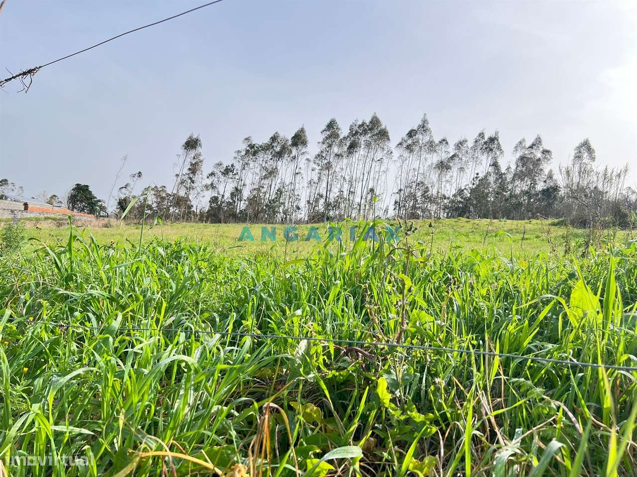 ANG1554 - Terreno para Venda em Leiria - Grande imagem: 3/5