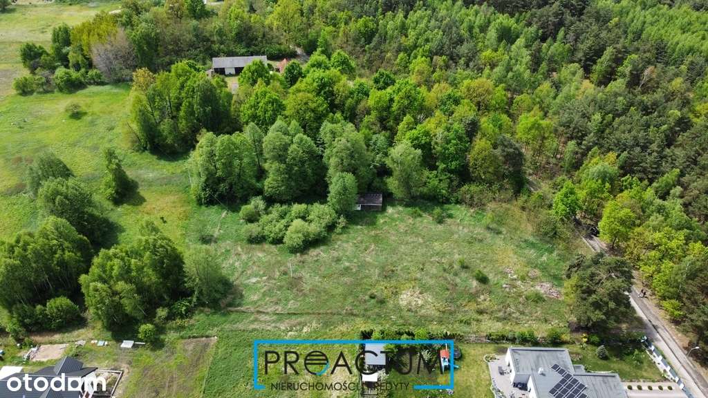 Działka w malowniczym miejscu blisko lasu. - Pełny obrazek: 5/8