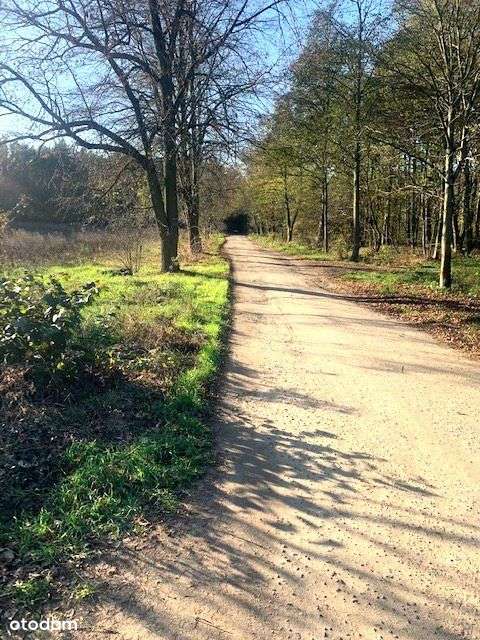 Piękny dom w lesie.., Dabcze-14