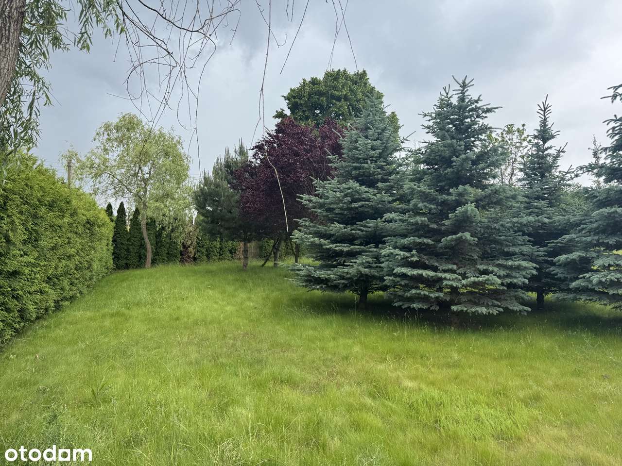 Działka w otoczeniu natury Strzeszyn (Wola) - Pełny obrazek: 5/5