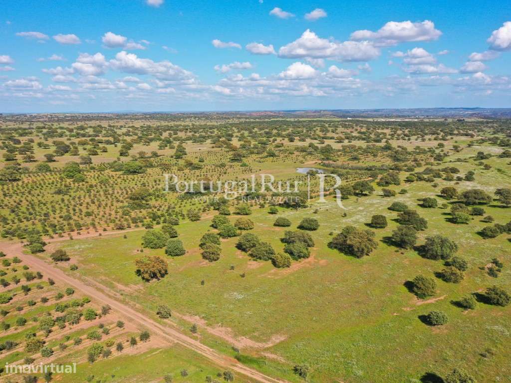 Herdades de Caça com 1300 Hectares, junto do rio Guadiana-35