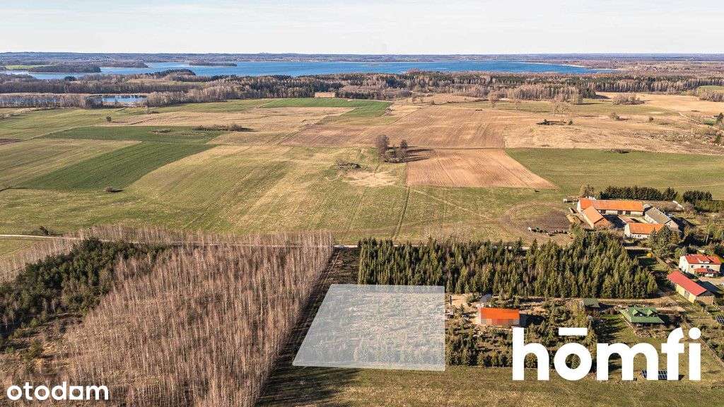 Działka 4083 m² w Kamionkach Wydane Wz - Pełny obrazek: 4/7