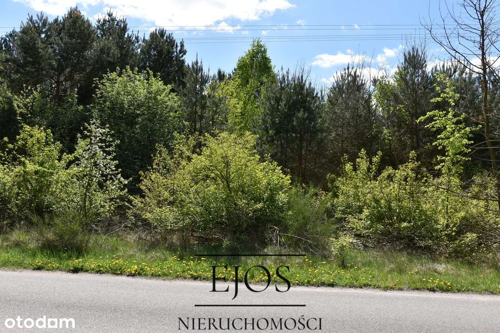 Działka budowlana w cichej spokojnej okolicy - Pełny obrazek: 5/7