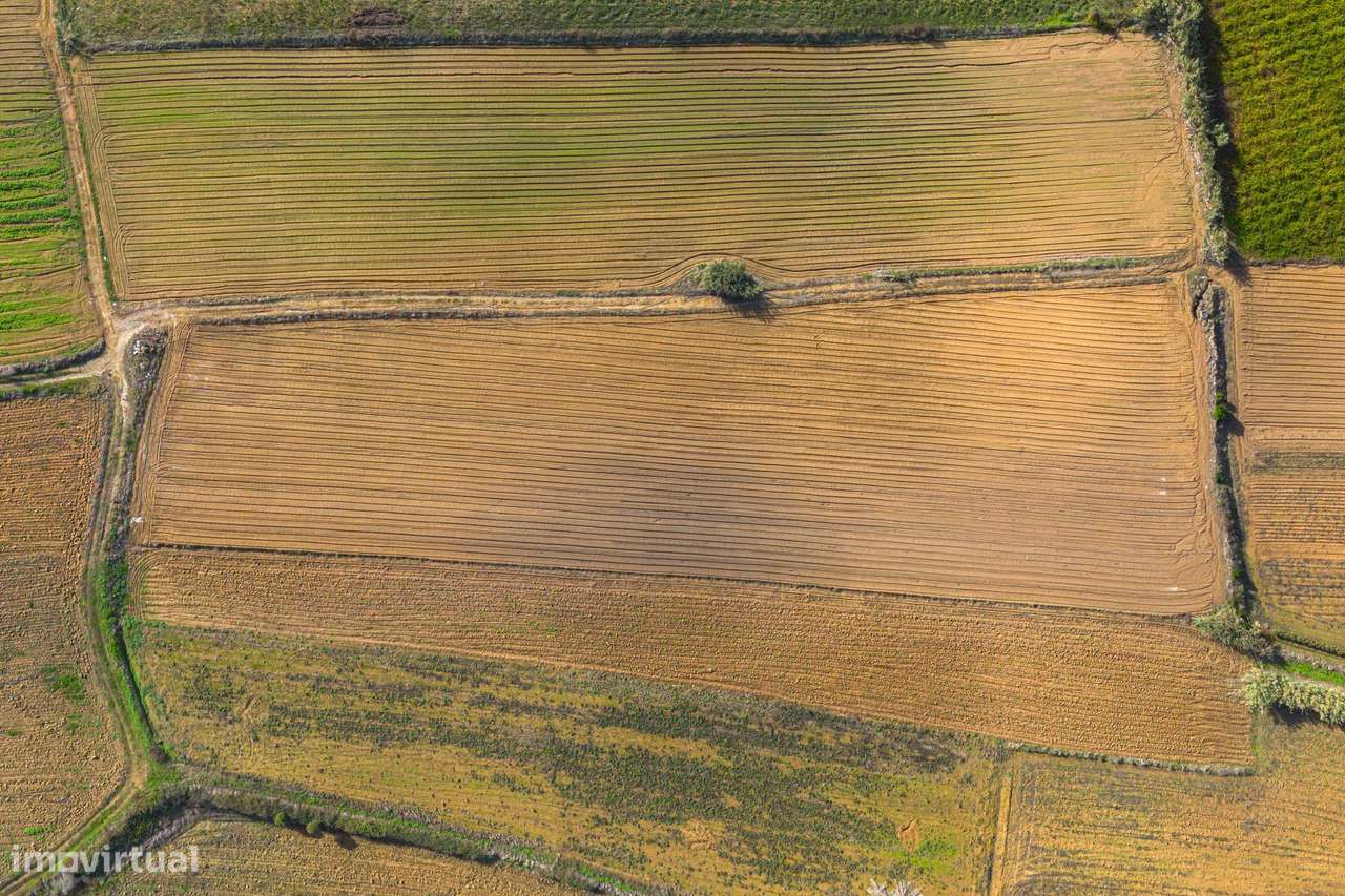 Terreno com bom potencial - Grande imagem: 5/10