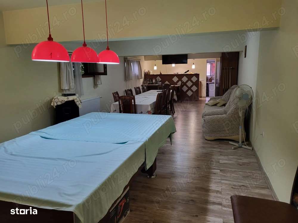 Casa cu 6 camere piscina si pivnita in Turnisor-9