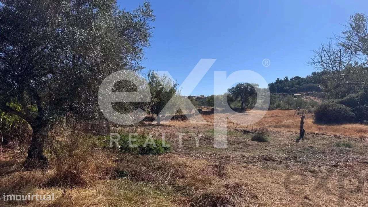 Terreno à venda – 4.360 m² em Aranhas - Grande imagem: 5/22