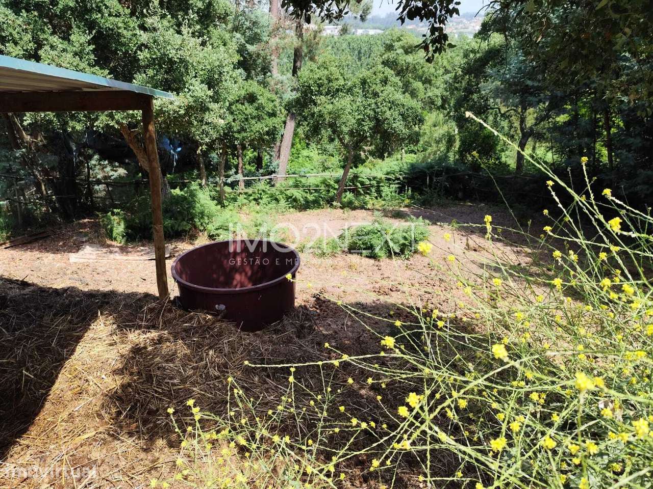 Terreno Rústico com Piscina e Bungalow || Azabucho || Pousos || Leiria-24