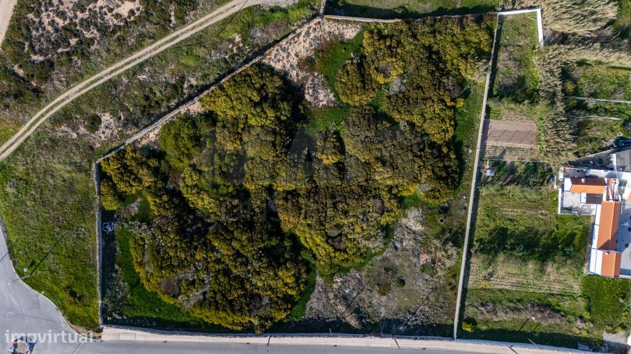 Terreno 6.000m2 com vista mar em Peniche - Grande imagem: 5/17