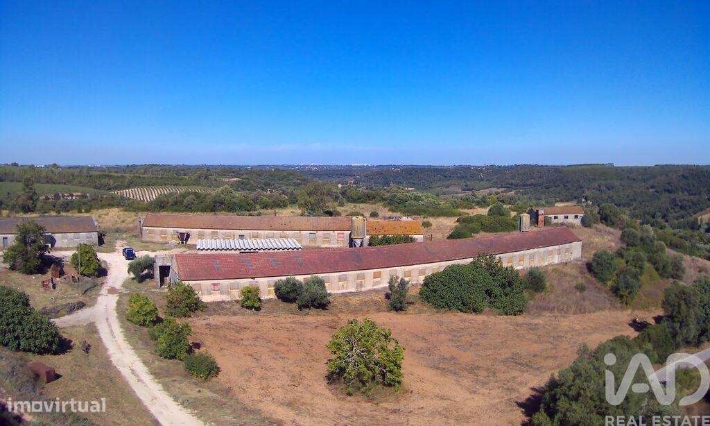 Quinta T3 em Almoster de 2364,00 m2 - Grande imagem: 2/30