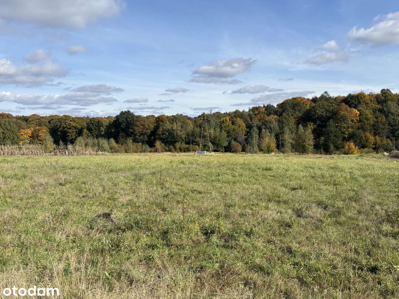 Nowy dom parterowy w cichej okolicy-3