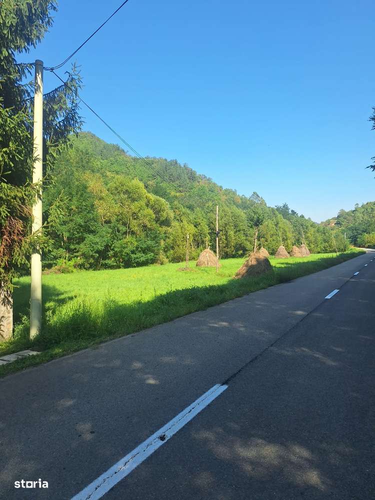 MIRIFIC! Teren intravilan 5500 mp Poiana Galdei - Imagine principală: 5/6