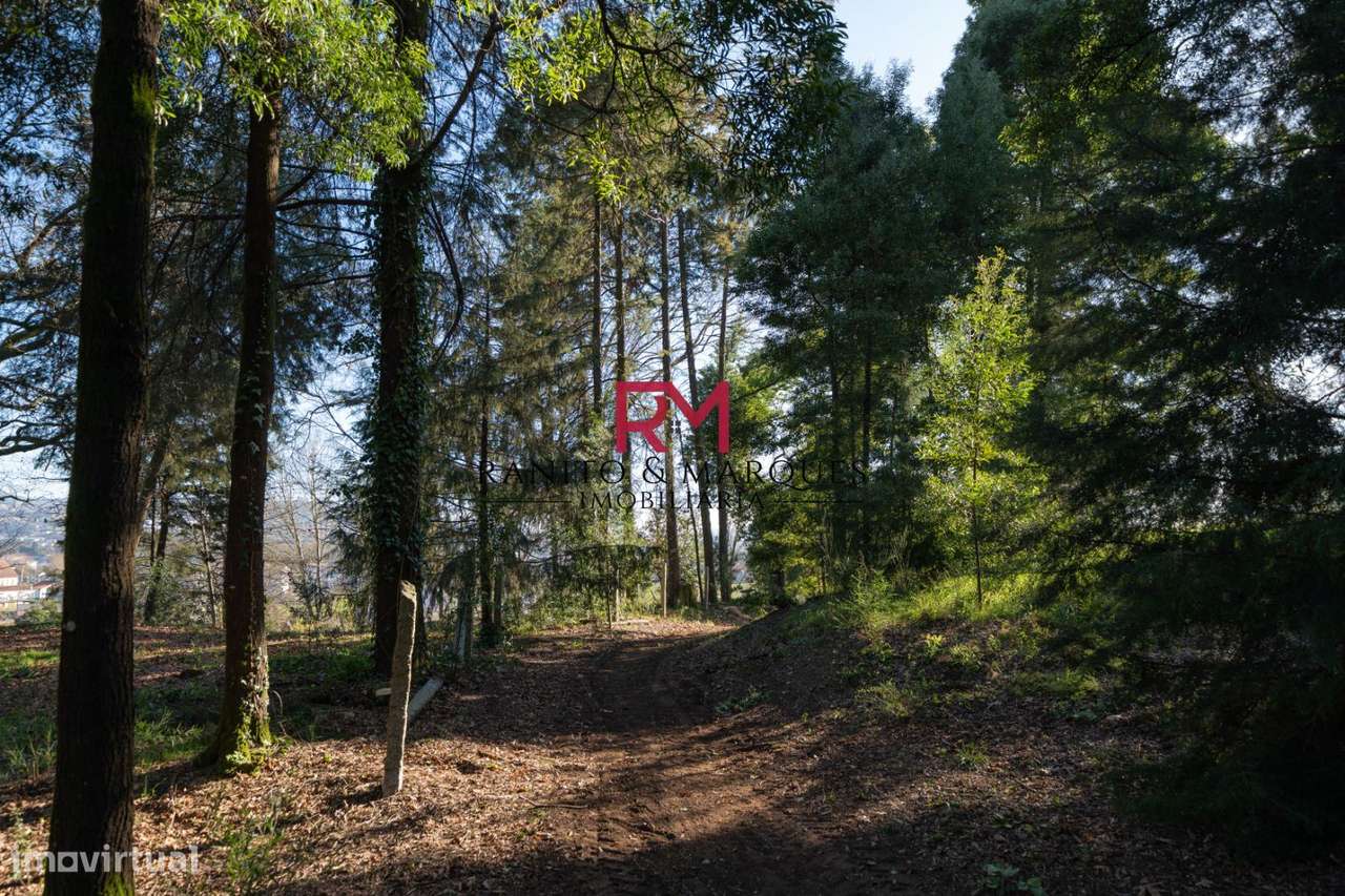 TERRENO PARA CONSTRUÇÃO MORADIAS - PAREDES, BITARÃES - Grande imagem: 4/5