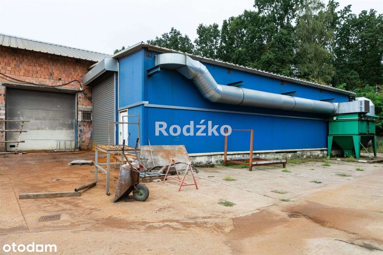 Hala/Magazyn, 520 m², Kruszyn - Pełny obrazek: 4/20