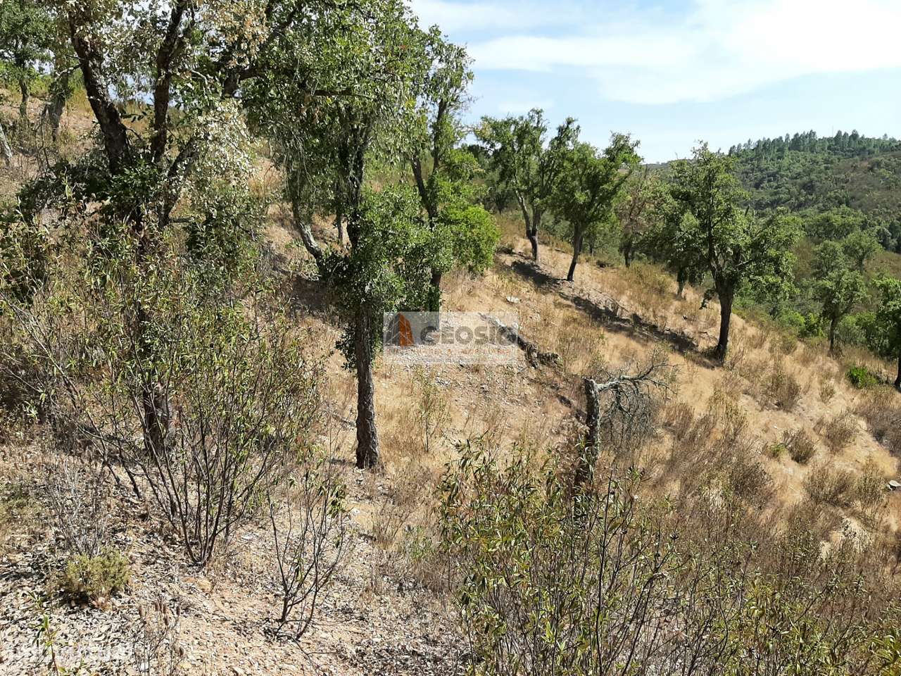 Terreno Rústico  Venda em Santa Clara-a-Nova e Gomes Aires,Almodôvar - Grande imagem: 4/17