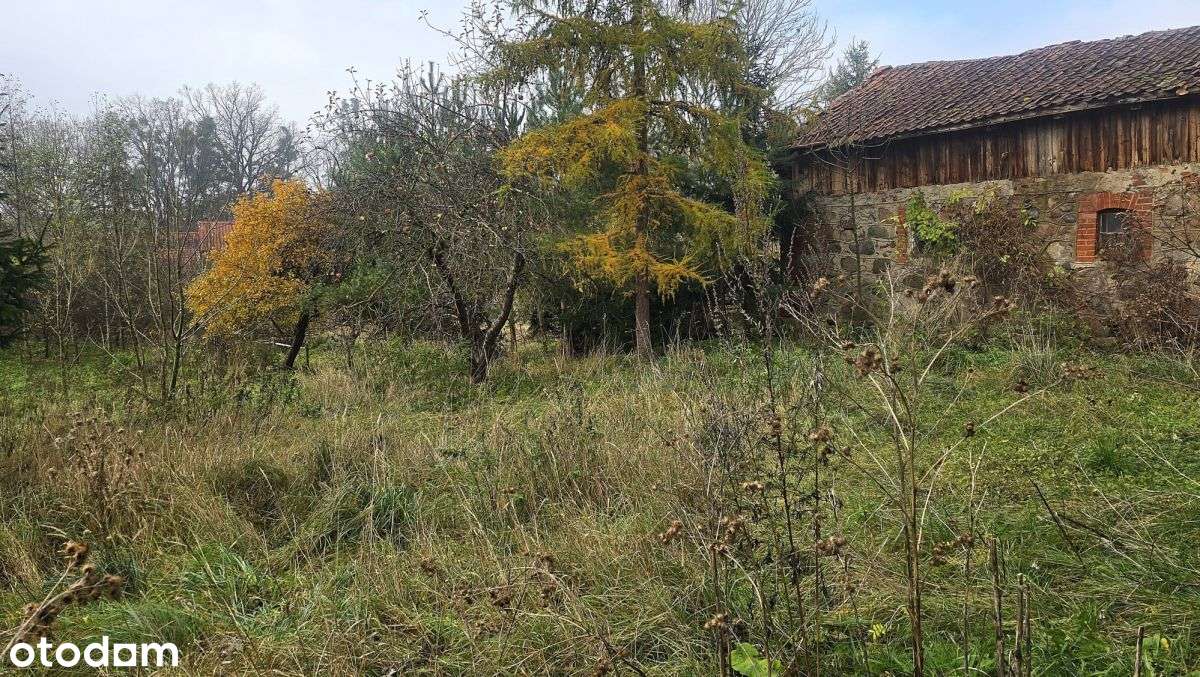 Dom w Orłowie - Pełny obrazek: 4/5