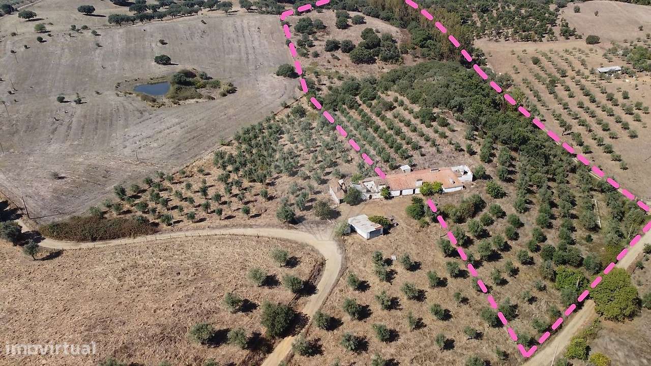 Quinta T4 para venda - Grande imagem: 2/6