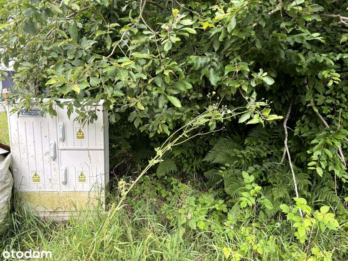 Działka otoczona lasem, 18km od Gdańska-3