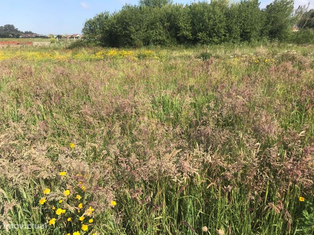 Terreno para construção de moradia - Estarreja - Grande imagem: 2/7