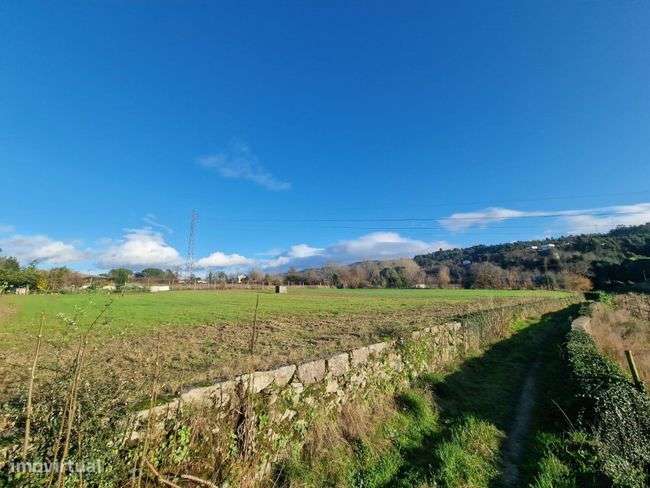 Fantástico terreno agrícola - Grande imagem: 3/7