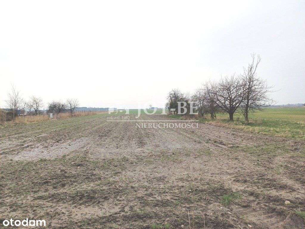 Działki budowlane, wydane Wz, kanalizacja - Pełny obrazek: 5/9