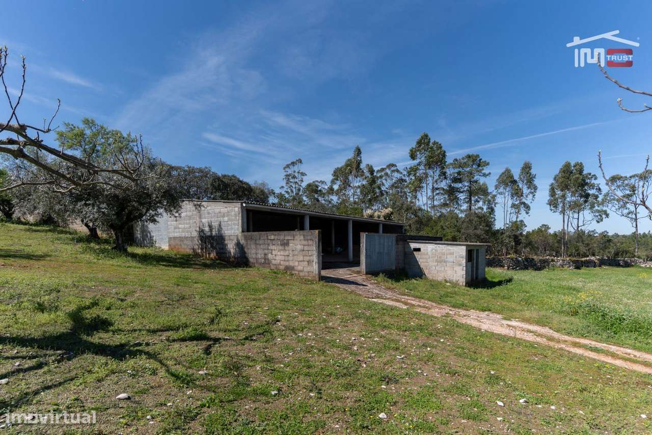 Fantástica Moradia T5 com piscina com 1ha de terreno em Pedreira, F...-34