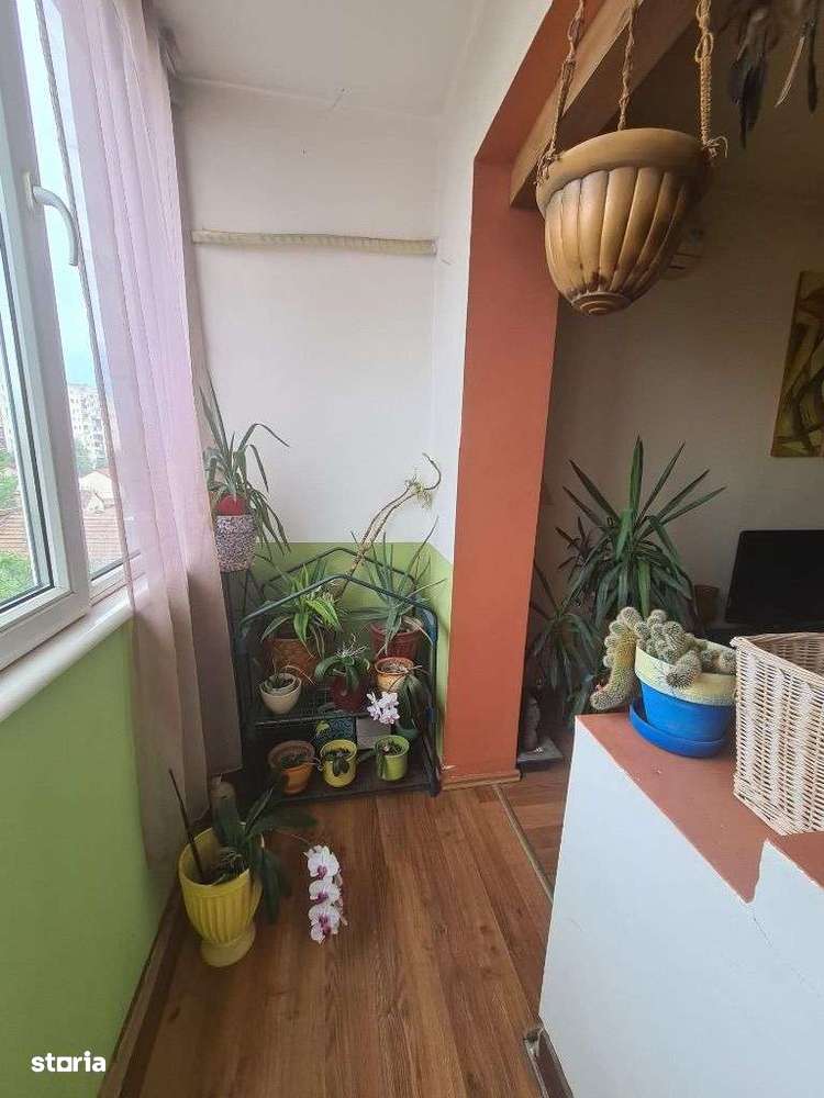 Apartament 3 camere Lebăda - Imagine principală: 5/5