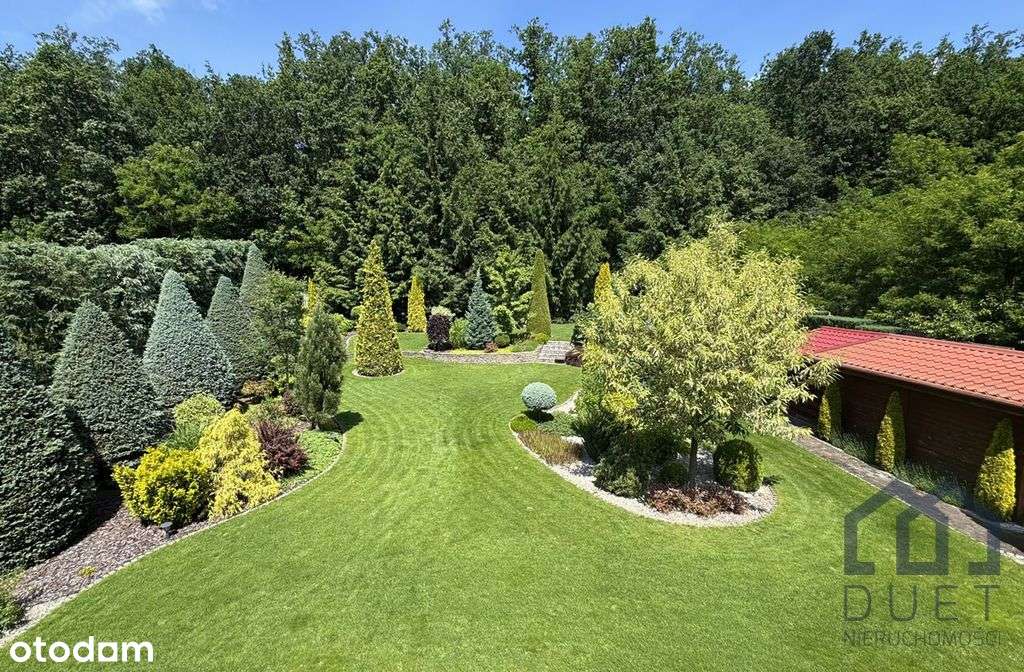 Dom pod lasem - Krosinko - komfort, wygoda, spokój-17