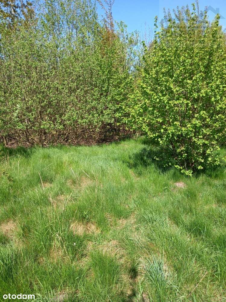 Działka budowlana 2594m2 Żelechów - Pełny obrazek: 4/6