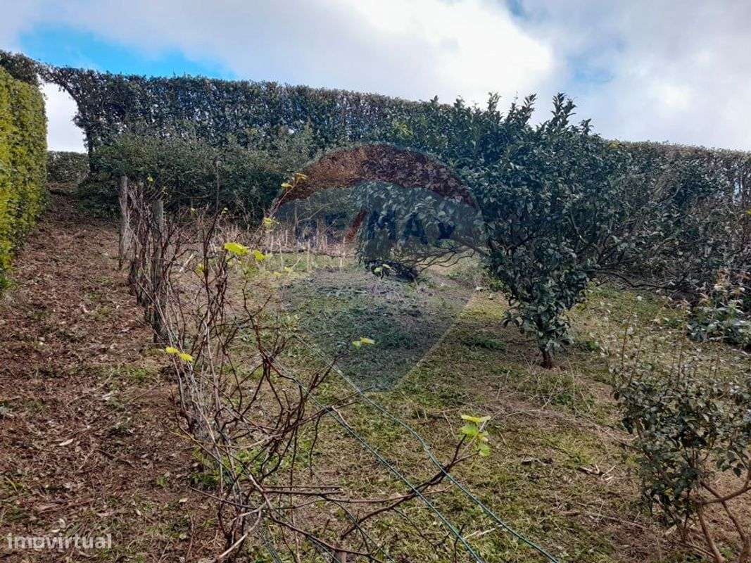 Terreno  para venda - Grande imagem: 5/7