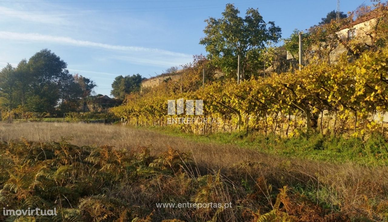 Venda Terreno, junto à estrada, Penha Longa, Marco de Canaveses