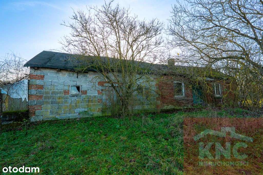 Przestronna działka z potencjałem, 3666 m² - Pełny obrazek: 4/5