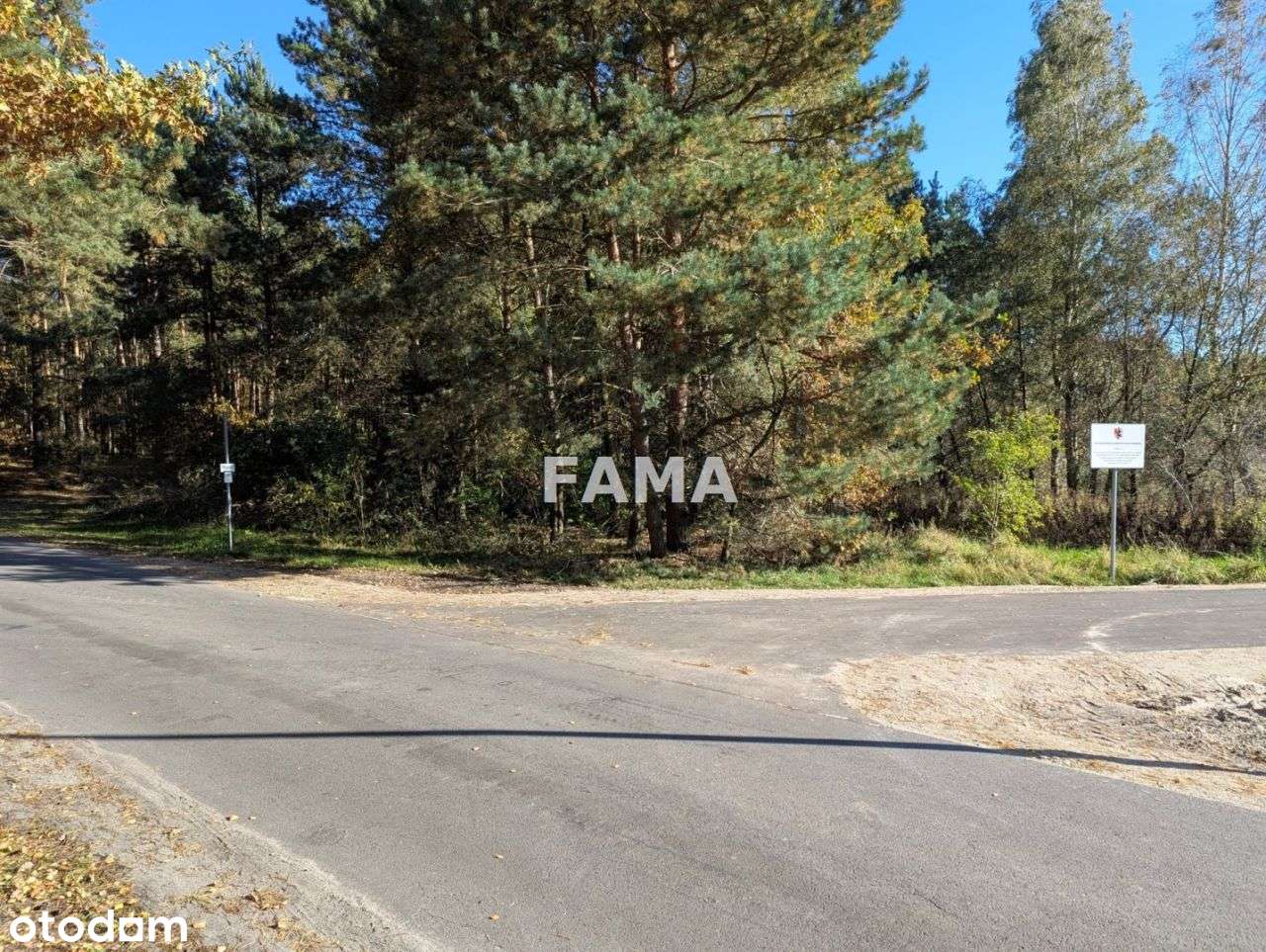 Działka 3,87 ha, Lisek, gm. Fabianki, asfalt-5