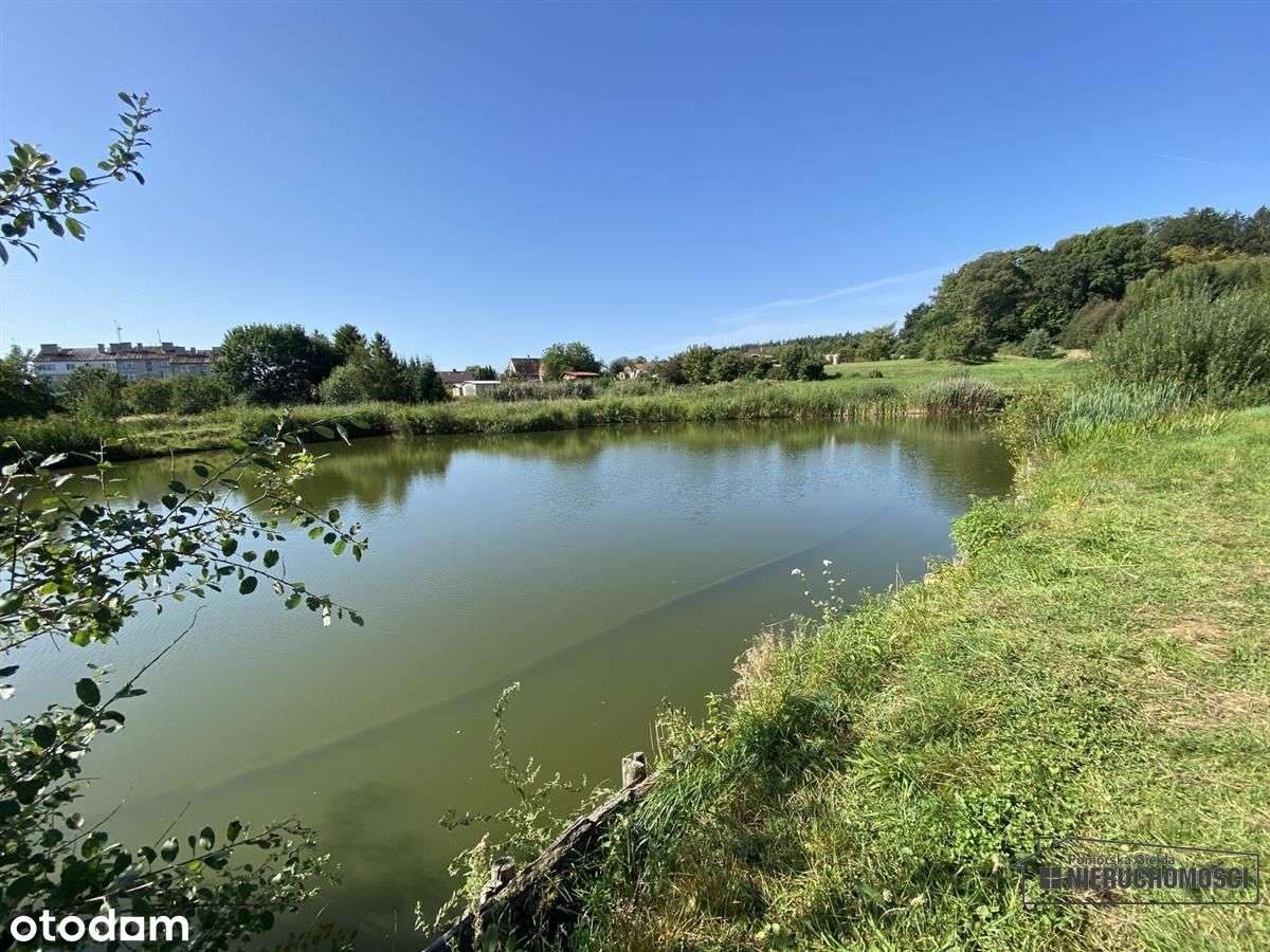 Duża działka ze stawami, Kołacz gm. Połczyn-Zdrój - Pełny obrazek: 5/16