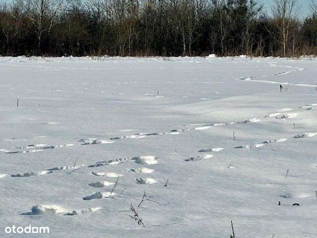 Blisko Natura 2000!-2