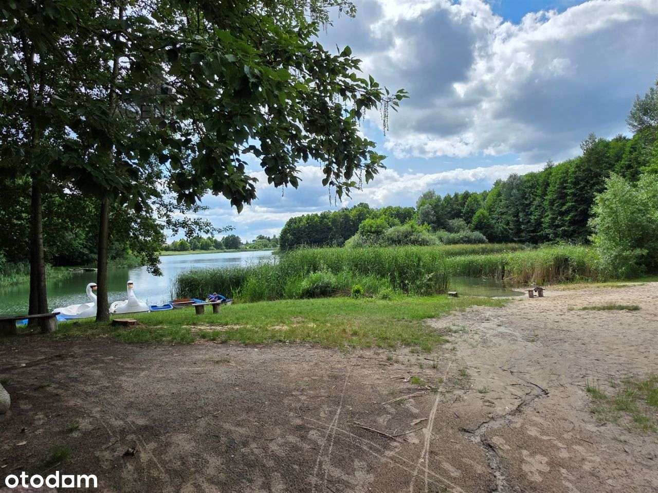 Działki/Nekla Jedna? lub komplet?-3