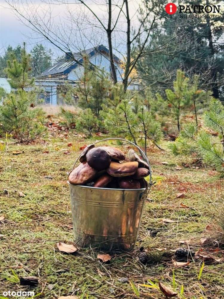 Sprzedam działkę o pow. 2 438 m² w Rurzycy-1