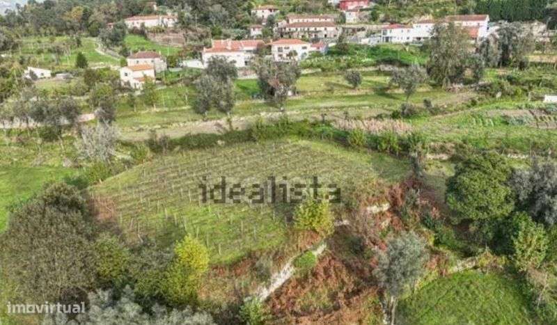 Quinta com 1,4 ha com 2 casas perto do Gerês - Grande imagem: 4/7