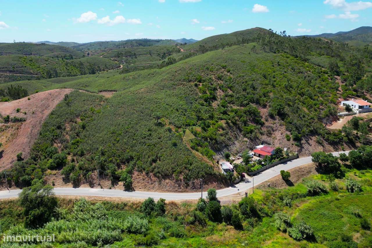 Terreno rústico em Mexilhoeira Grande com cerca de 2,4 ha de horta e s - Grande imagem: 2/16