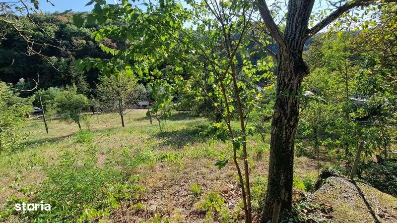 Vand teren gradina - Imagine principală: 5/8