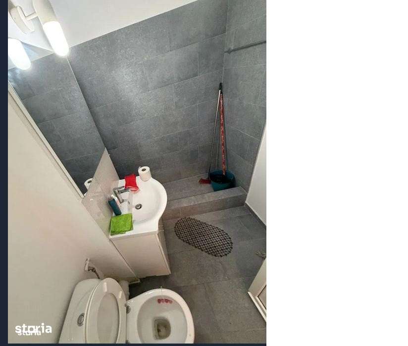 garsoniera colentina teiul doamnei obor-4